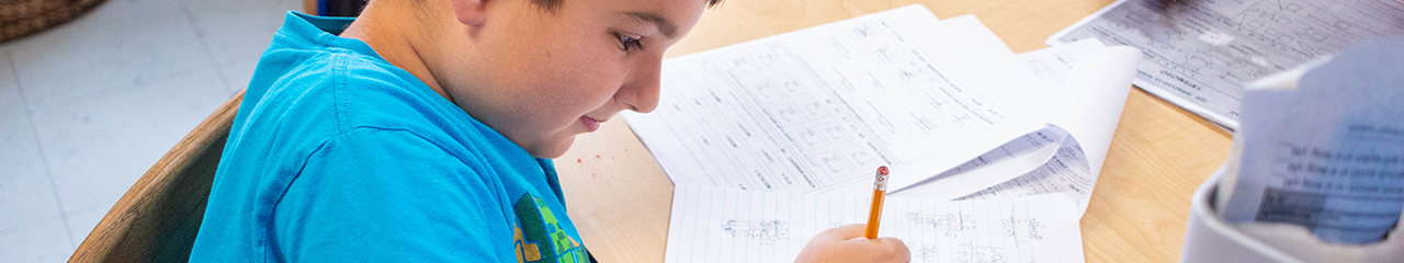 Palm Harbor Montessori Academy in Palm Harbor, FL