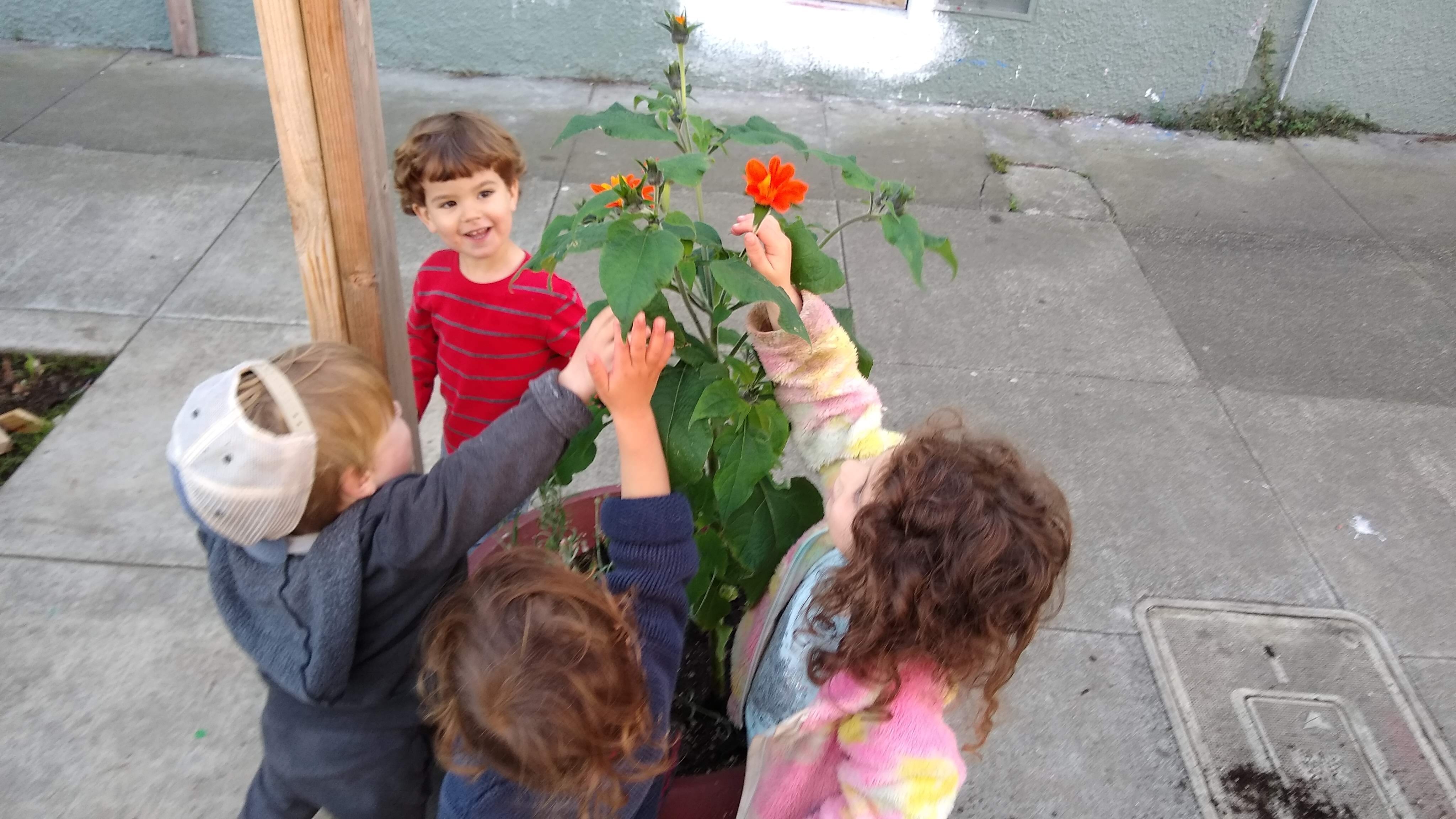 Cole Valley Gan Preschool in San Francisco, CA