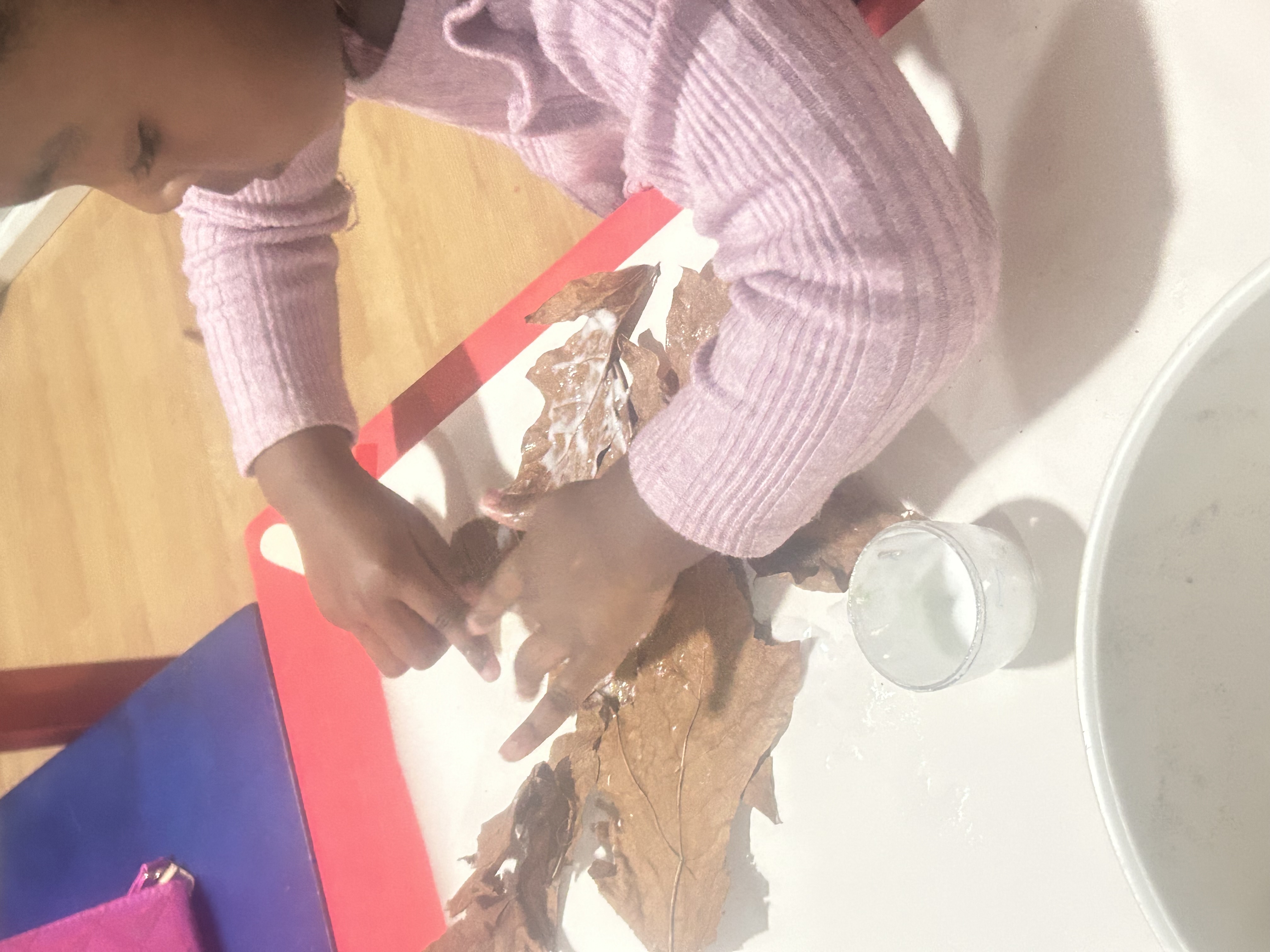 Petah Villages Eco-Learning Academy - Skyway (Birth - 6yrs) in Seattle, WA