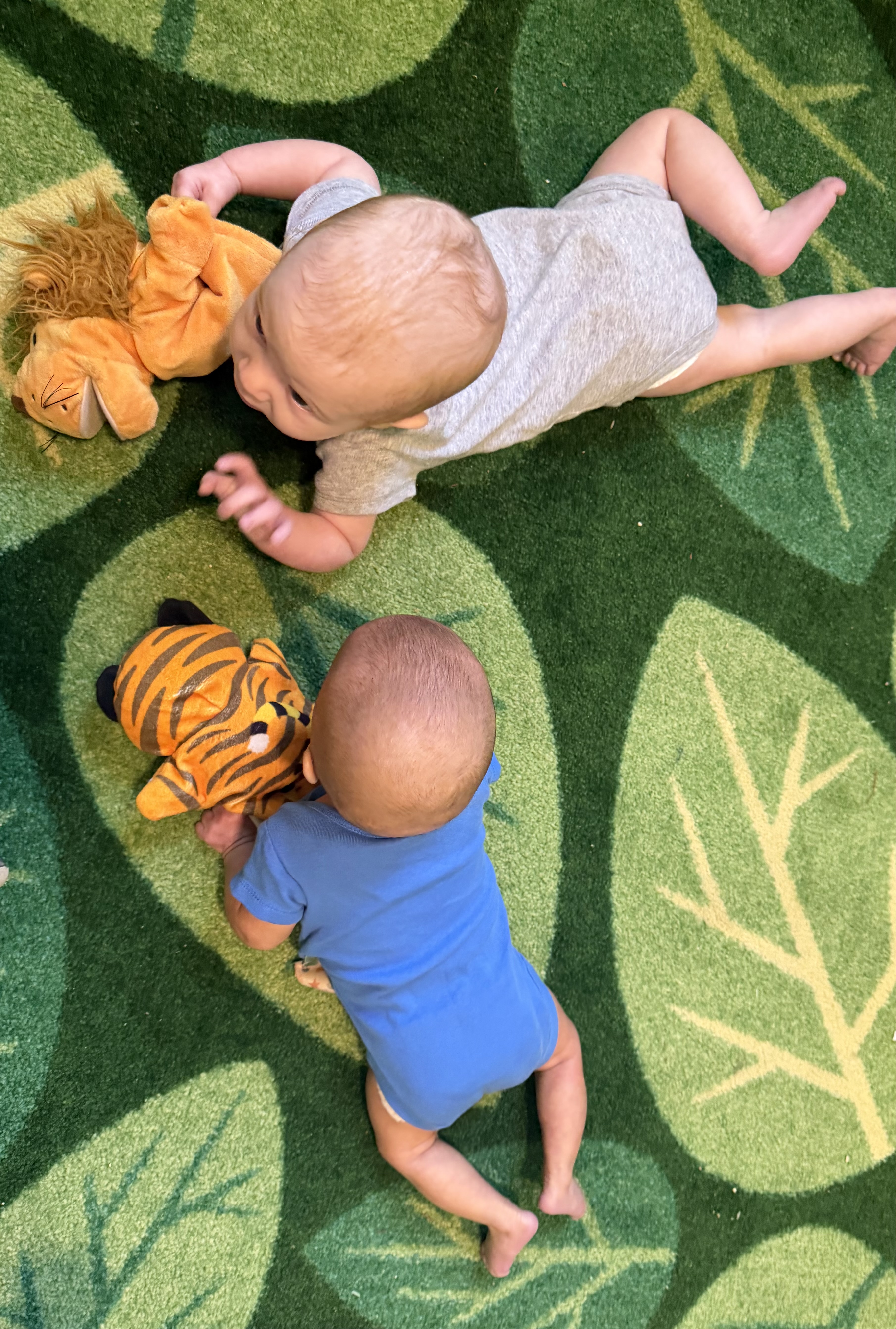Loly's Daycare in South Bend, IN