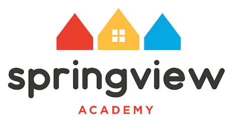 Springview Academy of Mount Pleasant