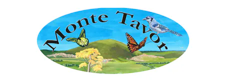 Monte Tavor (Laguna Ave)