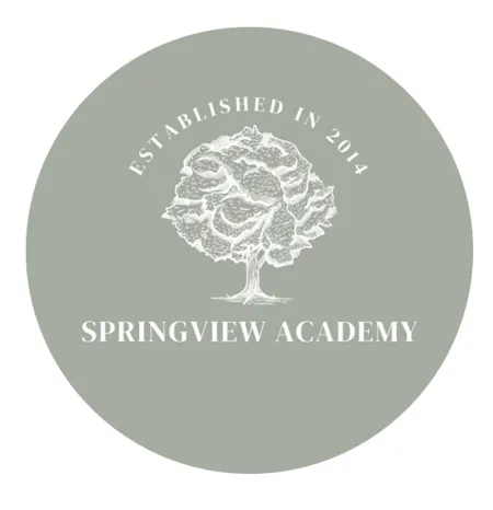 Springview Academy (Miami Lakes)