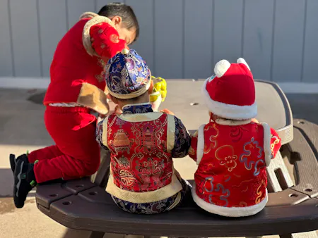 Hong Chinese Learning Daycare